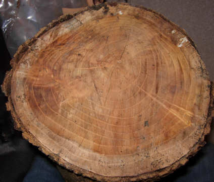 Ailanthus altissima Wood Yarn Bowl