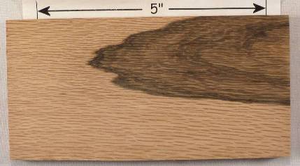 Black Oak Black Oak